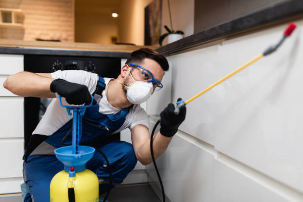 Best Pest Control Near Me in Seymour, TN