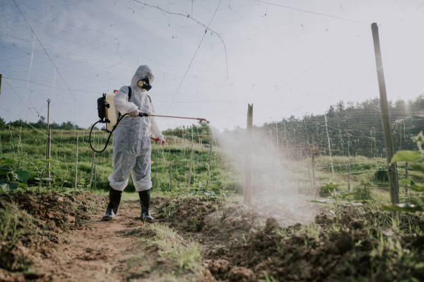 Best Local Pest Control Services  in Seymour, TN