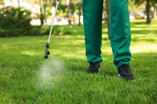 Best Wildlife Control Services  in Seymour, TN
