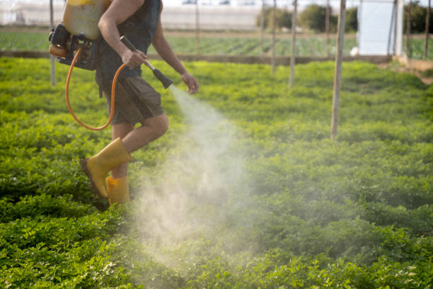 Best Affordable Pest Control Services  in Seymour, TN