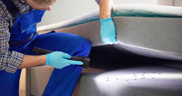 Best Best Pest Control Near Me  in Seymour, TN