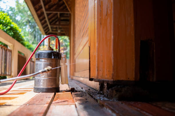 Best Wasp Removal Services  in Seymour, TN