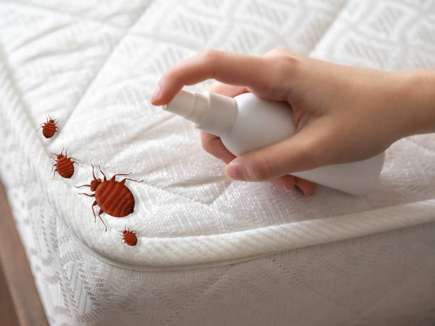 Best Exterminator Services  in Seymour, TN