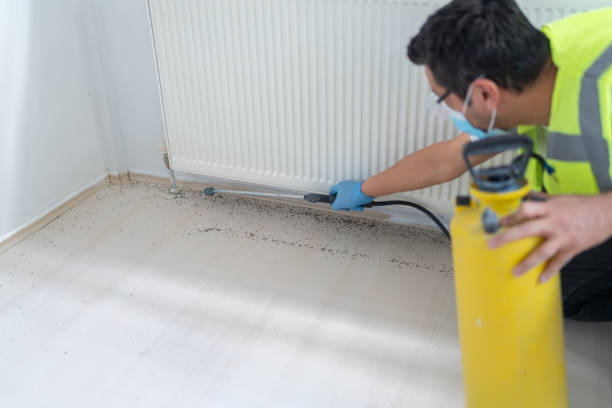 Best Pest Removal Services  in Seymour, TN