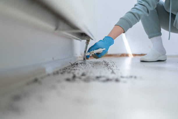Best Wildlife Control Services  in Seymour, TN